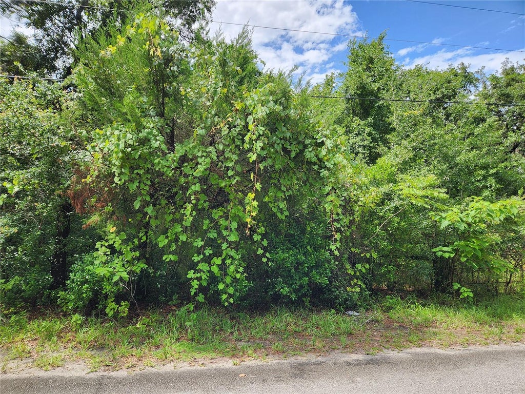 Photo of 00 Oak Drive #Tract 25, Hudson, FL 34669 (MLS # W7887743)