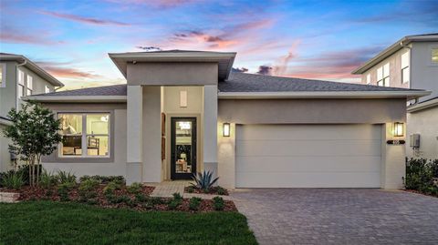 425 DOUGLAS HILL DRIVE LADY LAKE FL 32159