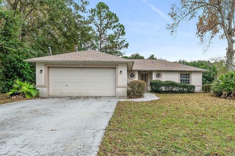 A home in PALM COAST