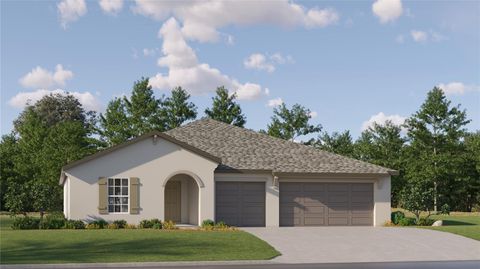 15263 RAINBOW QUARTZ STREET WIMAUMA FL 33598
