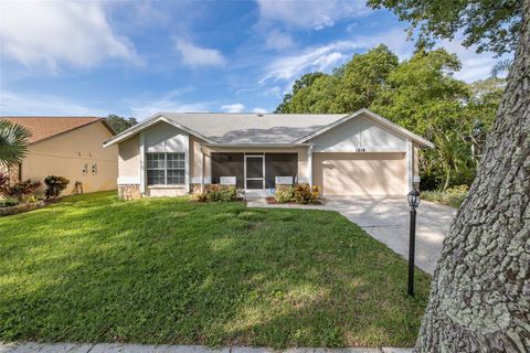 A home in PALM HARBOR