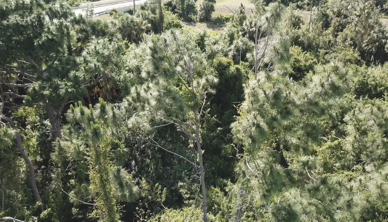 PORT CHARLOTTE SUB 45 - Land