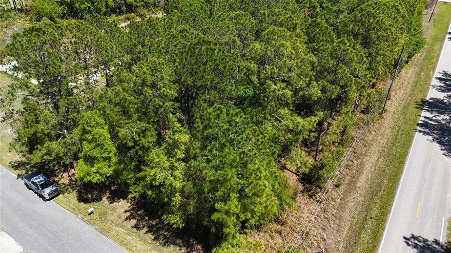 Rare opportunity to own a 1-acre homesite in Wesley Chapel with no HOA and no CDD fees. This oversized corner lot is zoned AR-1, allowing for one single-family residence and the flexibility to build a custom home.

Conveniently located near Wiregrass Mall, Tampa Premium Outlets, The Grove, AdventHealth Wesley Chapel, and major highways including I-75, I-275, and the Suncoast Parkway, offering easy access to shopping, dining, and commuting routes.

Buyer to verify all zoning, land use, flood zone, utilities, and development requirements with Pasco County.