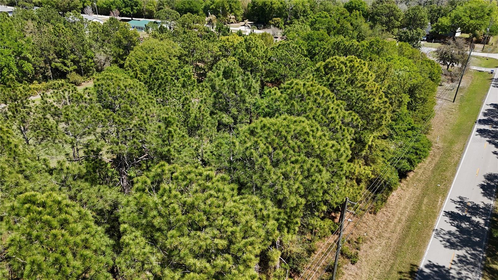 QUAIL HOLLOW PINES - Land