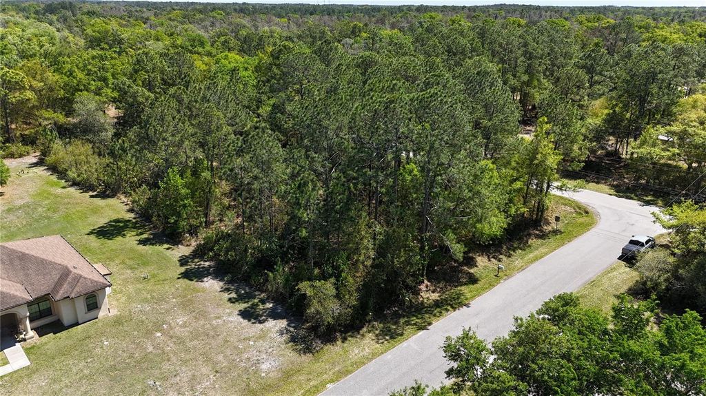 Photo of Pine Lands Dr, Wesley Chapel, FL 33544 (MLS # TB8489274)