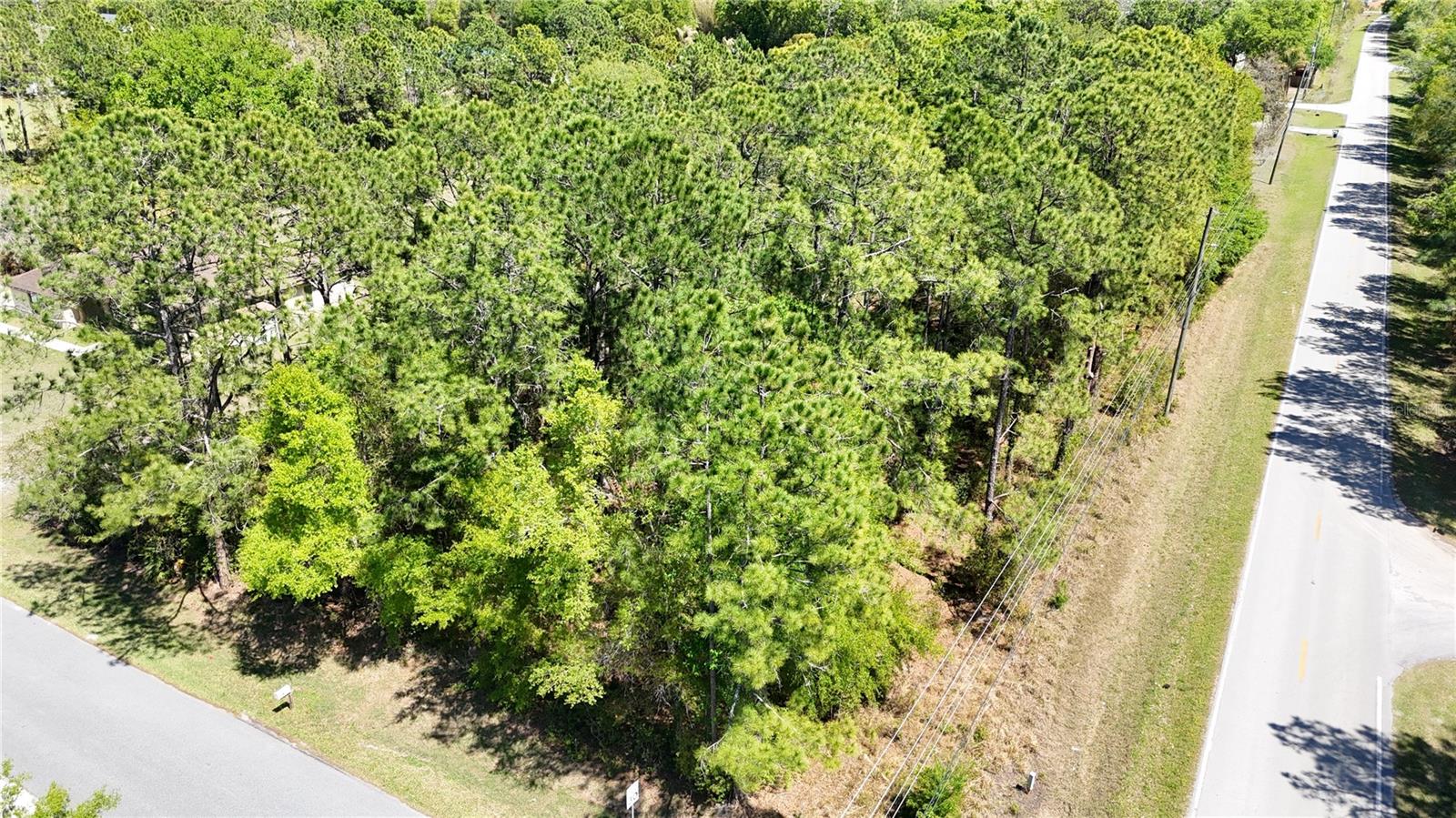 QUAIL HOLLOW PINES - Land