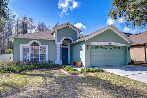 3203 GIANNA WAY LAND O LAKES FL 34638