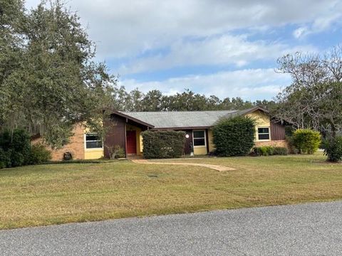 Photo of 410 E Orchid Way, Howey In The Hills, FL 34737 (MLS # G5104898)