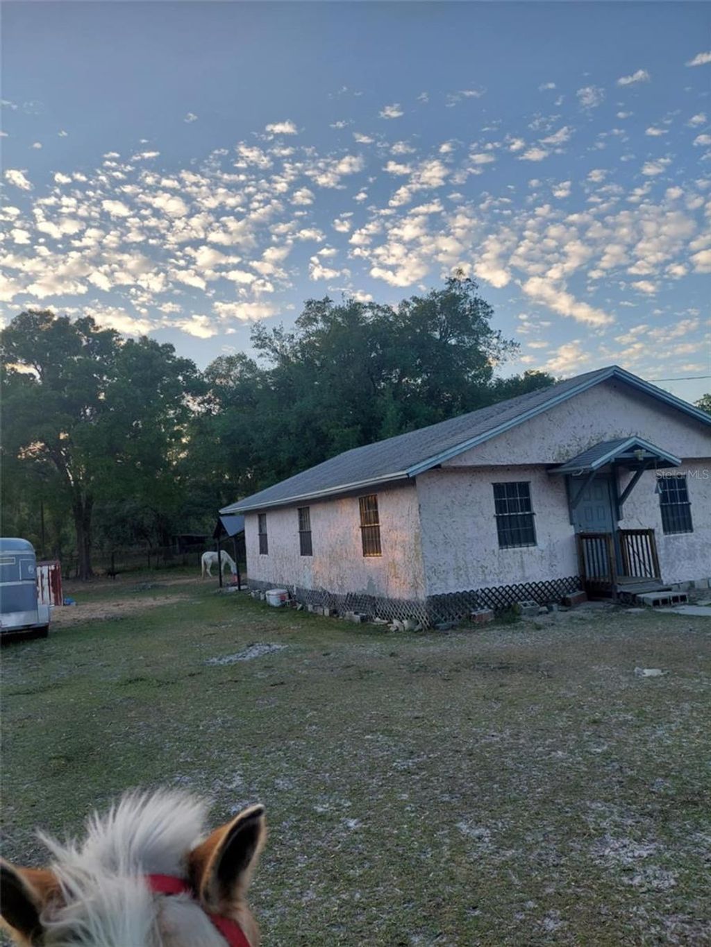 Photo of 14016 N. Hwy 301, Thonotosassa, FL 33592 (MLS # G5107594)