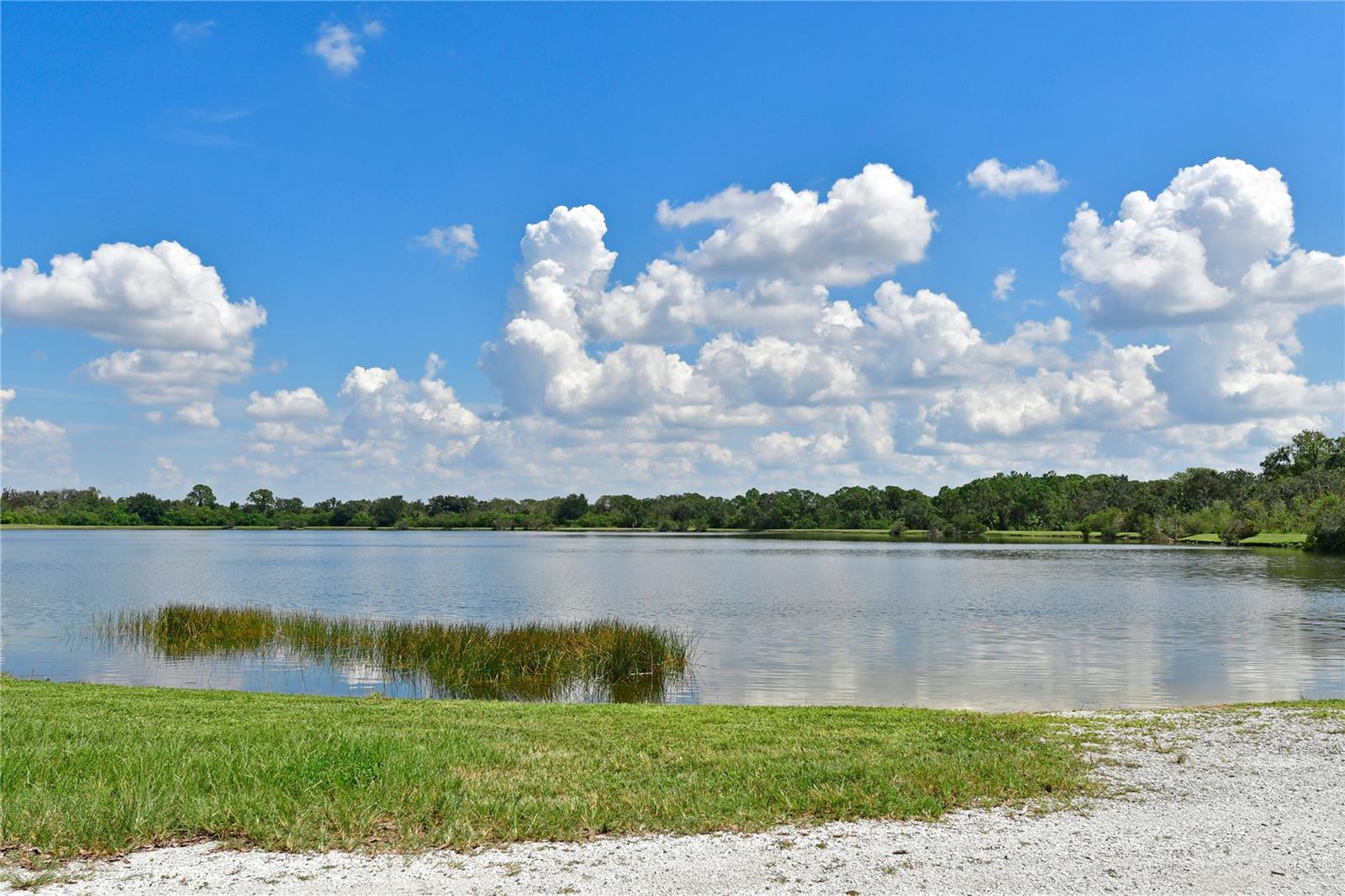 SUMMERFIELD VILLAGE SUBPHASE C U2 - Residential