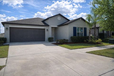 11210 SAGE CANYON DRIVE RIVERVIEW FL 33578