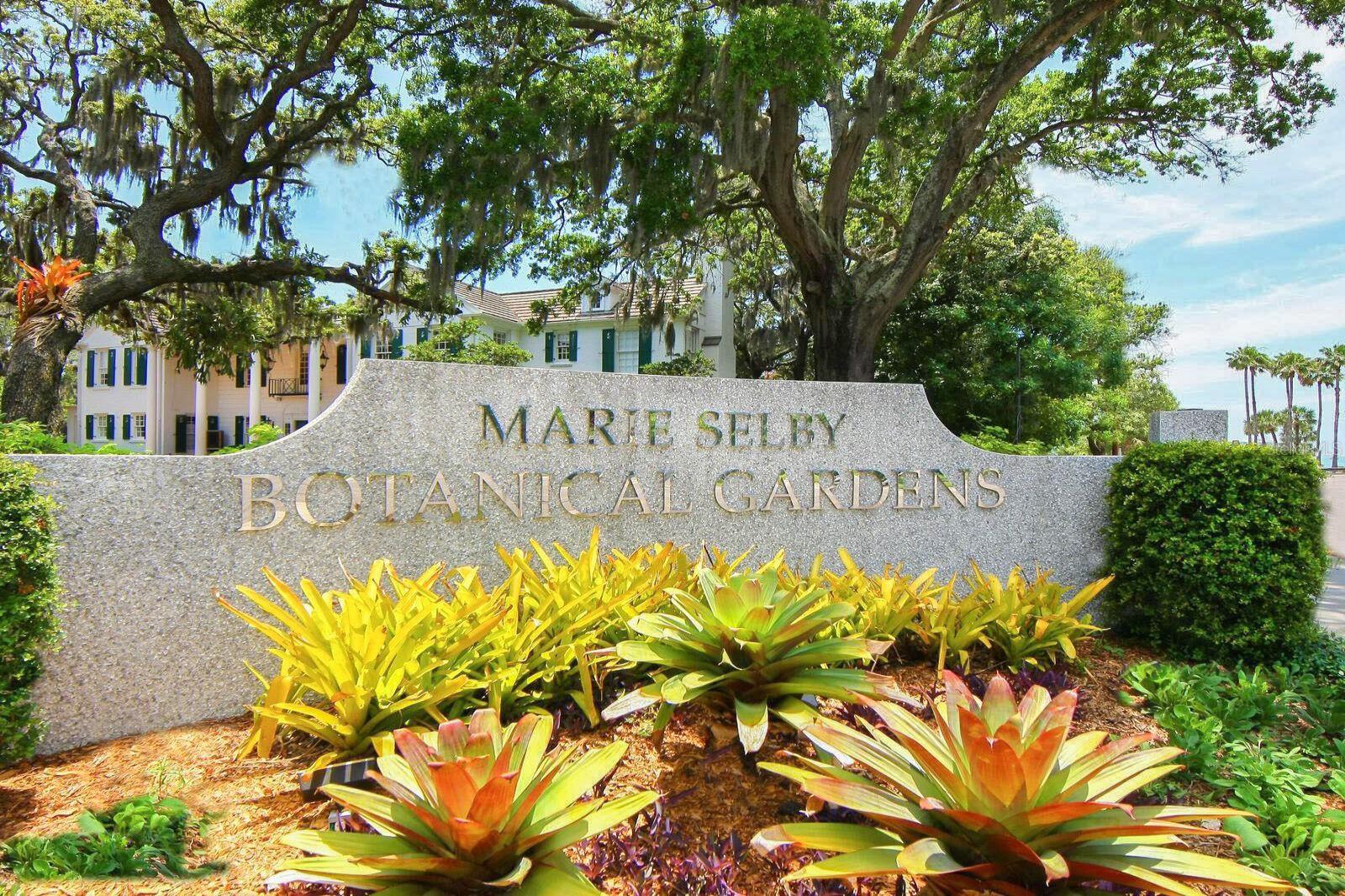 BAYSO SARASOTA - Residential