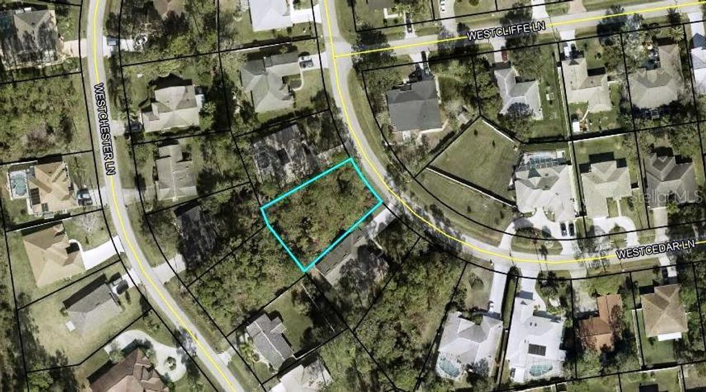 Photo of 19 Westcedar Lane, Palm Coast, FL 32164 (MLS # FC313216)