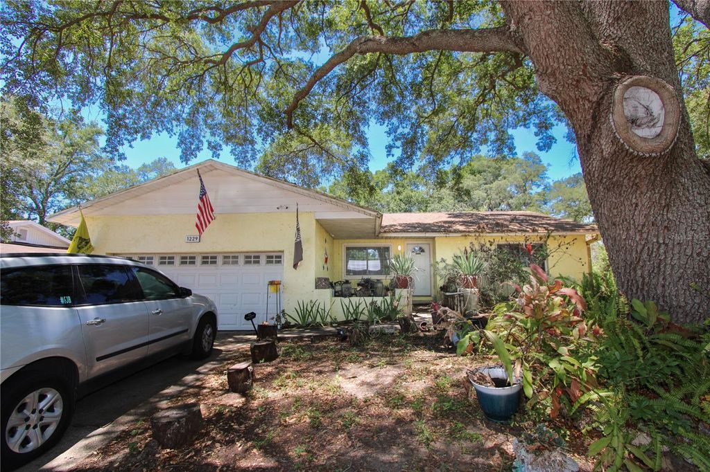 Photo of 1229 Oak Valley Drive, Seffner, FL 33584 (MLS # TB8506410)