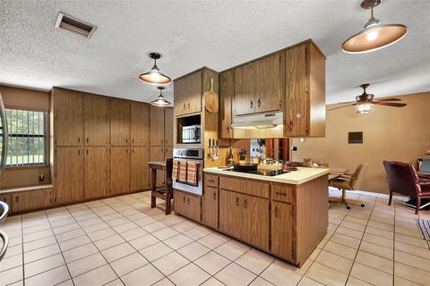 Tiny photo for 672 E Belt Avenue, Bushnell, FL 33513 (MLS # G5098130)