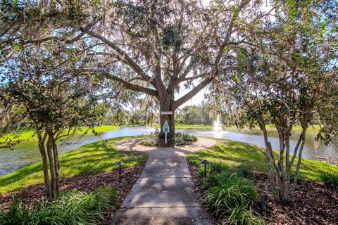 A home in WESLEY CHAPEL