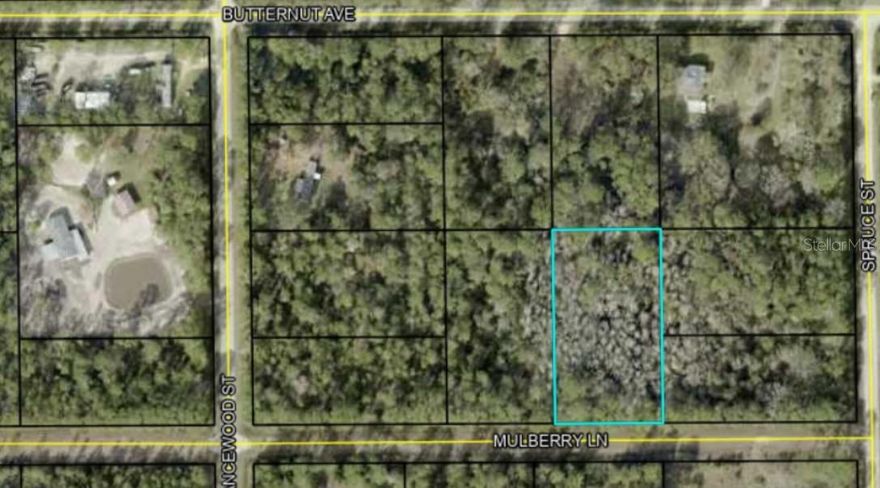 Build on your land, camp, or relax! Discover this expansive plot of land located on Mulberry Ln in Bunnell, FL. This property has a generous space to build your dream home or invest in potential future development. Surrounded by nature, it provides a serene environment while still being accessible to local amenities. Whether you're looking to create a private retreat or explore other possibilities, this land presents a unique opportunity to shape your vision.