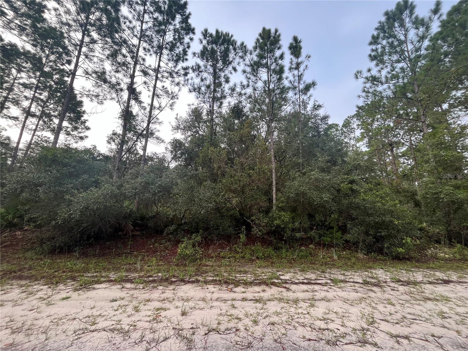 FINANCING AVAILABLE! Country living at its finest! Come see this beautiful 0.23-acre recently mulched lot located in the desirable Georgetown area. Perfect for building your dream home or bringing a manufactured home. Residents enjoy access to the St. Johns River Rod & Reel Club, complete with a boat ramp, fishing pier, and access to Lake George. Spend your days boating and fishing on the river and lake, or swimming in the crystal-clear waters of Salt Springs and Silver Glen Springs. Don’t miss this opportunity to own a slice of Florida paradise!