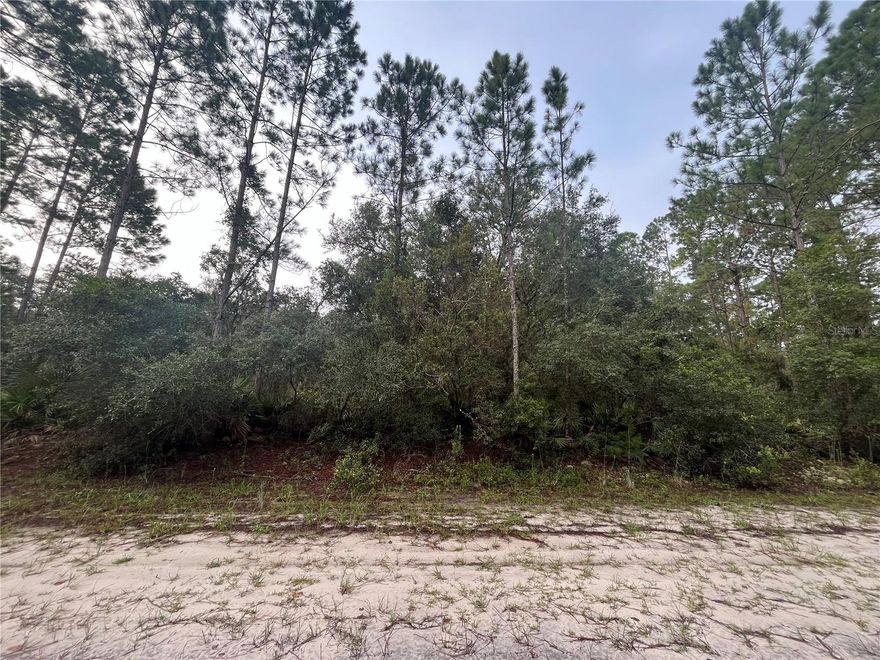 FINANCING AVAILABLE! Country living at its finest! Come see this beautiful 0.23-acre recently mulched lot located in the desirable Georgetown area. Perfect for building your dream home or bringing a manufactured home. Residents enjoy access to the St. Johns River Rod & Reel Club, complete with a boat ramp, fishing pier, and access to Lake George. Spend your days boating and fishing on the river and lake, or swimming in the crystal-clear waters of Salt Springs and Silver Glen Springs. Don’t miss this opportunity to own a slice of Florida paradise!