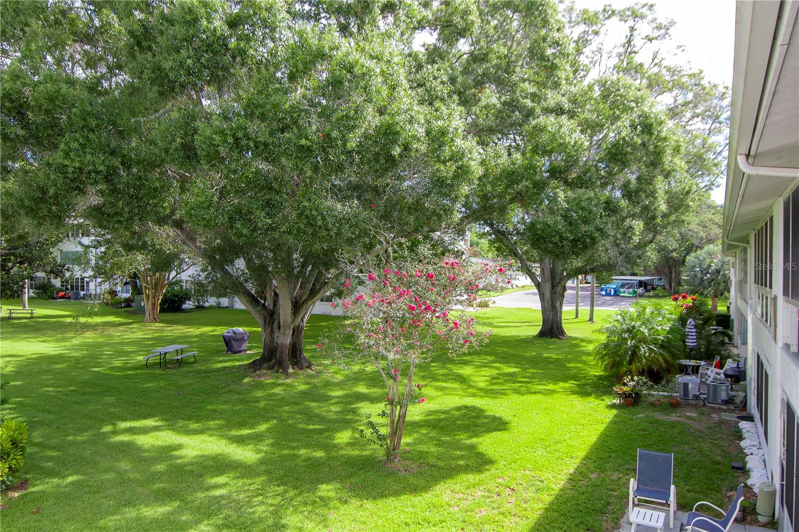 DOUGLAS ARMS - Residential