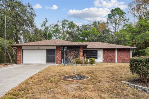 Photo of 23 W Mastic Court, Homosassa, FL 34446 (MLS # W7881207)