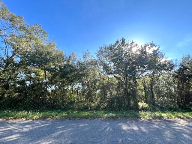 Rarely available Dixie Ranch Acres 1+- acre lot now available for your new Florida home. Homes only community, no HOA, located on paved road with electrical poles nearby. Dixie Ranch Acres is located off US Highway 98, north of downtown Okeechobee shopping and restaurants and Lake Okeechobee for all your boating and fishing enjoyment. Buy and build or hold for investment. Seller has a survey.