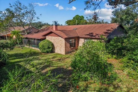 A home in VALRICO