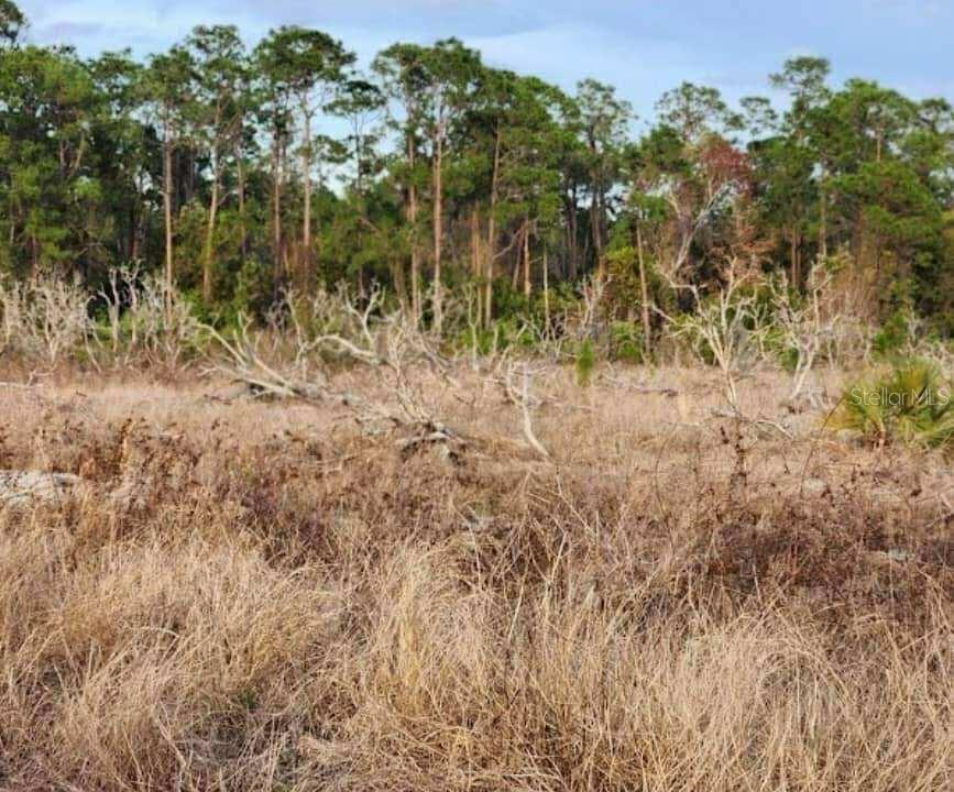 40K PRICE REDUCTION. SELLER MOTIVATED. Build your dream home on this spacious 9.65-acre lot in the peaceful Oakridge Estates community! Located in Frostproof and zoned for residential use, this high-and-dry parcel offers flexibility with no HOA. Surrounded by open countryside yet just minutes from town, the property has electric nearby; well and septic are needed. Ideal for those seeking privacy, space, or future growth potential. Adjoining parcels are also available, offering the opportunity to acquire nearly 50 contiguous acres—purchase individually or as a package.