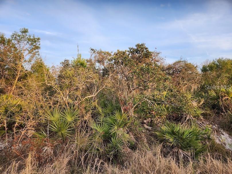 OAKRIDGE ESTATES - Land