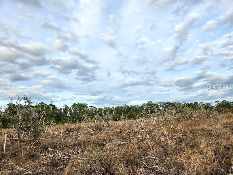 OAKRIDGE ESTATES - Land