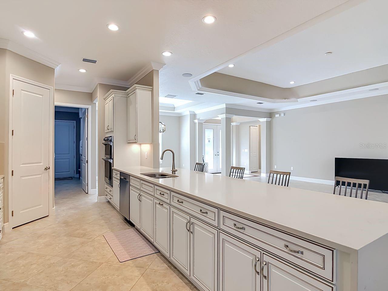 LAKES OF MOUNT DORA - Residential