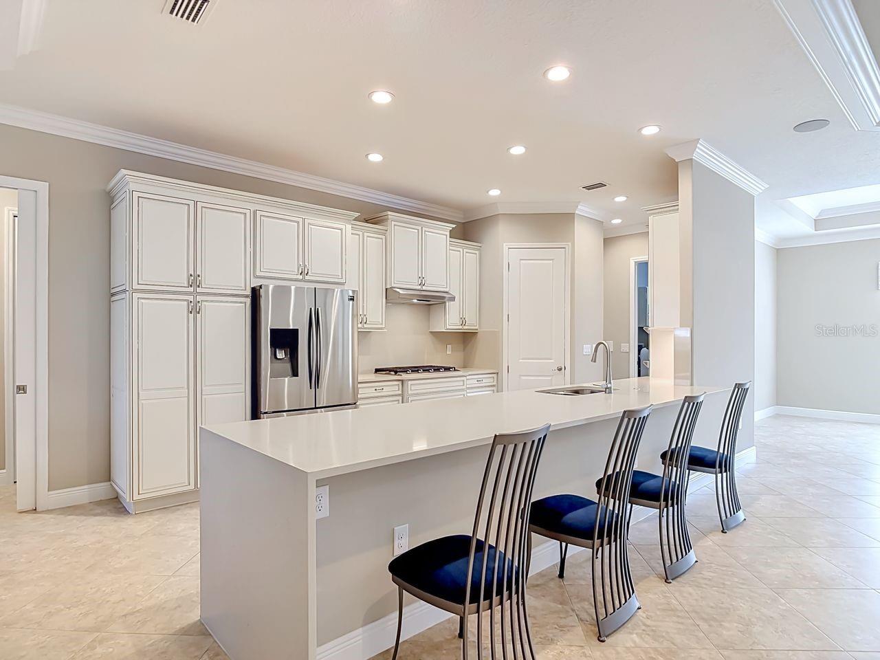LAKES OF MOUNT DORA - Residential