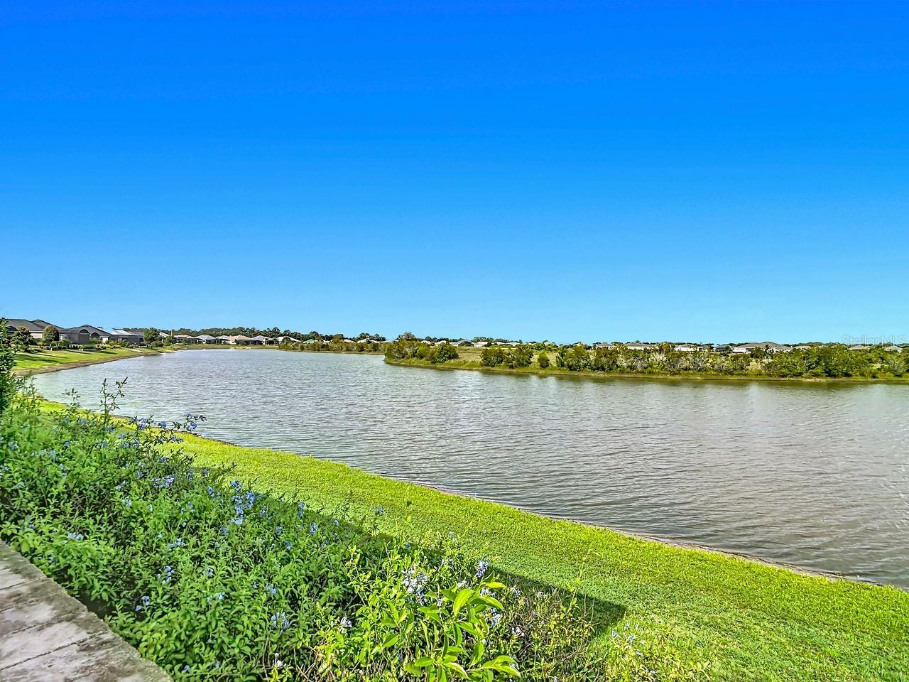LAKES OF MOUNT DORA - Residential