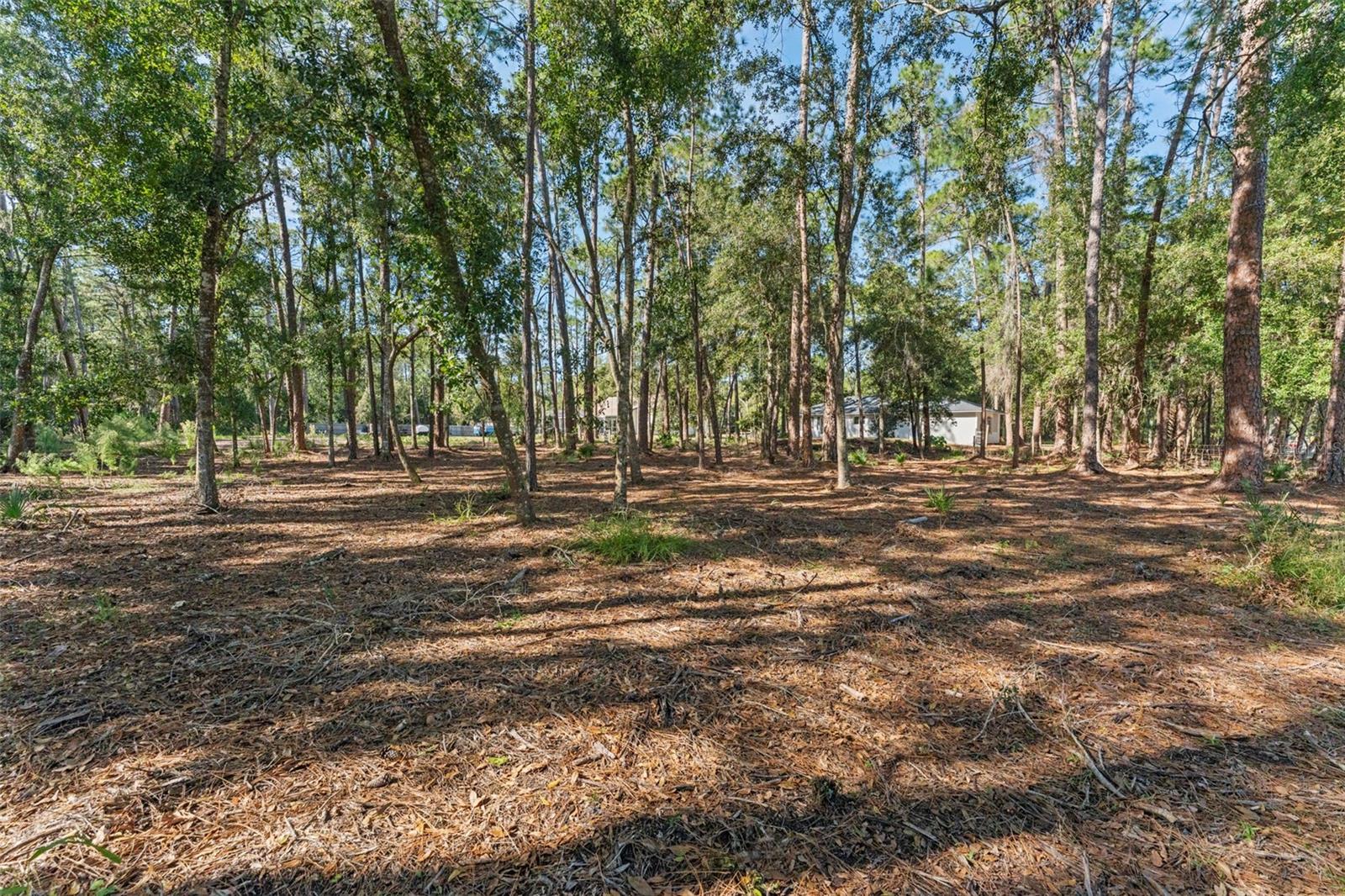 TAMPA HLNDS - Residential