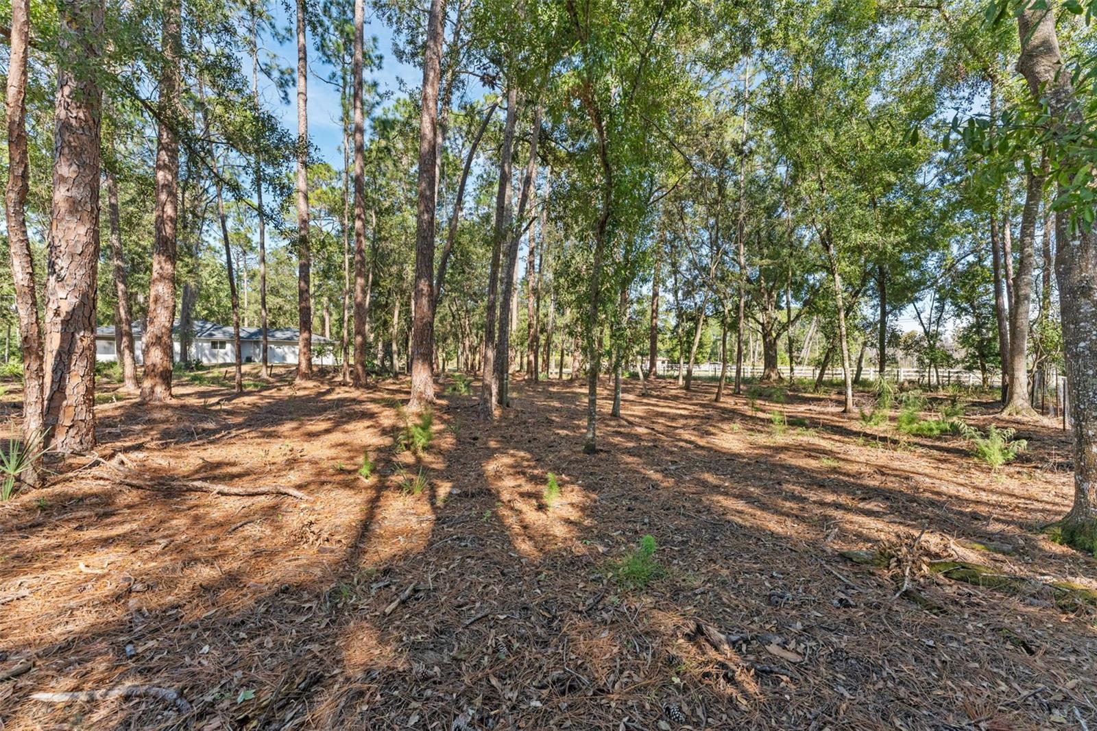 TAMPA HLNDS - Residential