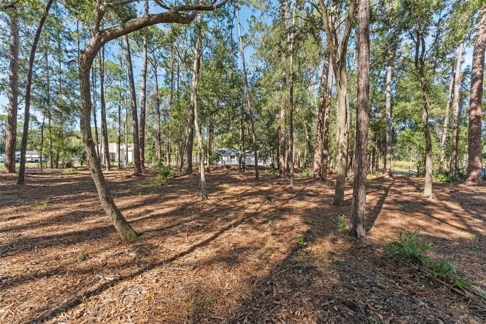 TAMPA HLNDS - Residential