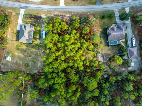 Tiny photo for 5426 N Bedstrow Boulevard, Beverly Hills, FL 34465 (MLS # G5105962)