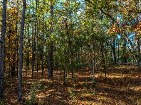 Tiny photo for 5426 N Bedstrow Boulevard, Beverly Hills, FL 34465 (MLS # G5105962)