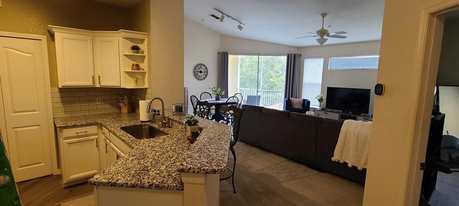 1475 LAKE SHADOW CIRCLE 6307