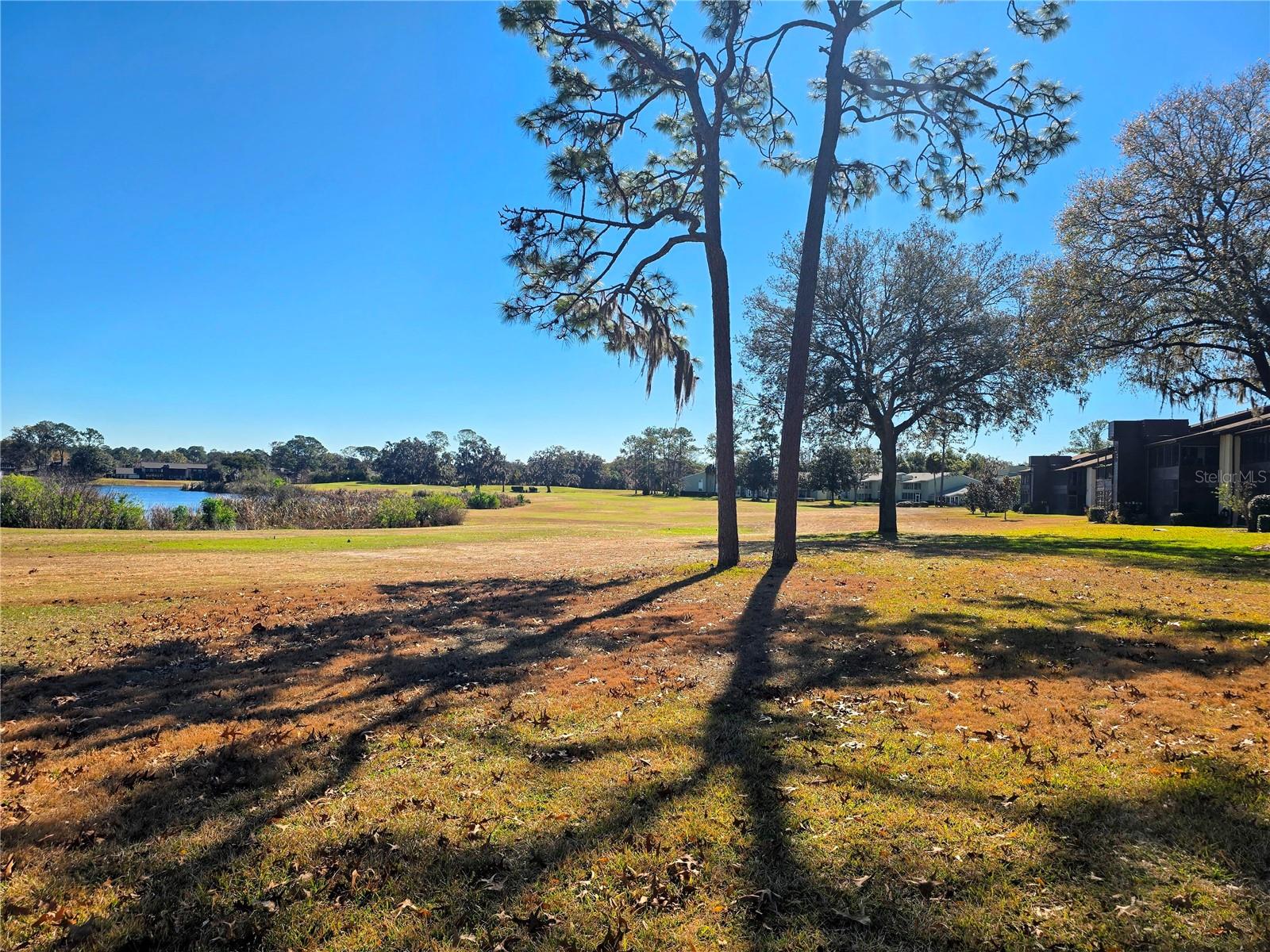 FAIRWAYS/SILVER SPG SHRS 6 BLD - Residential