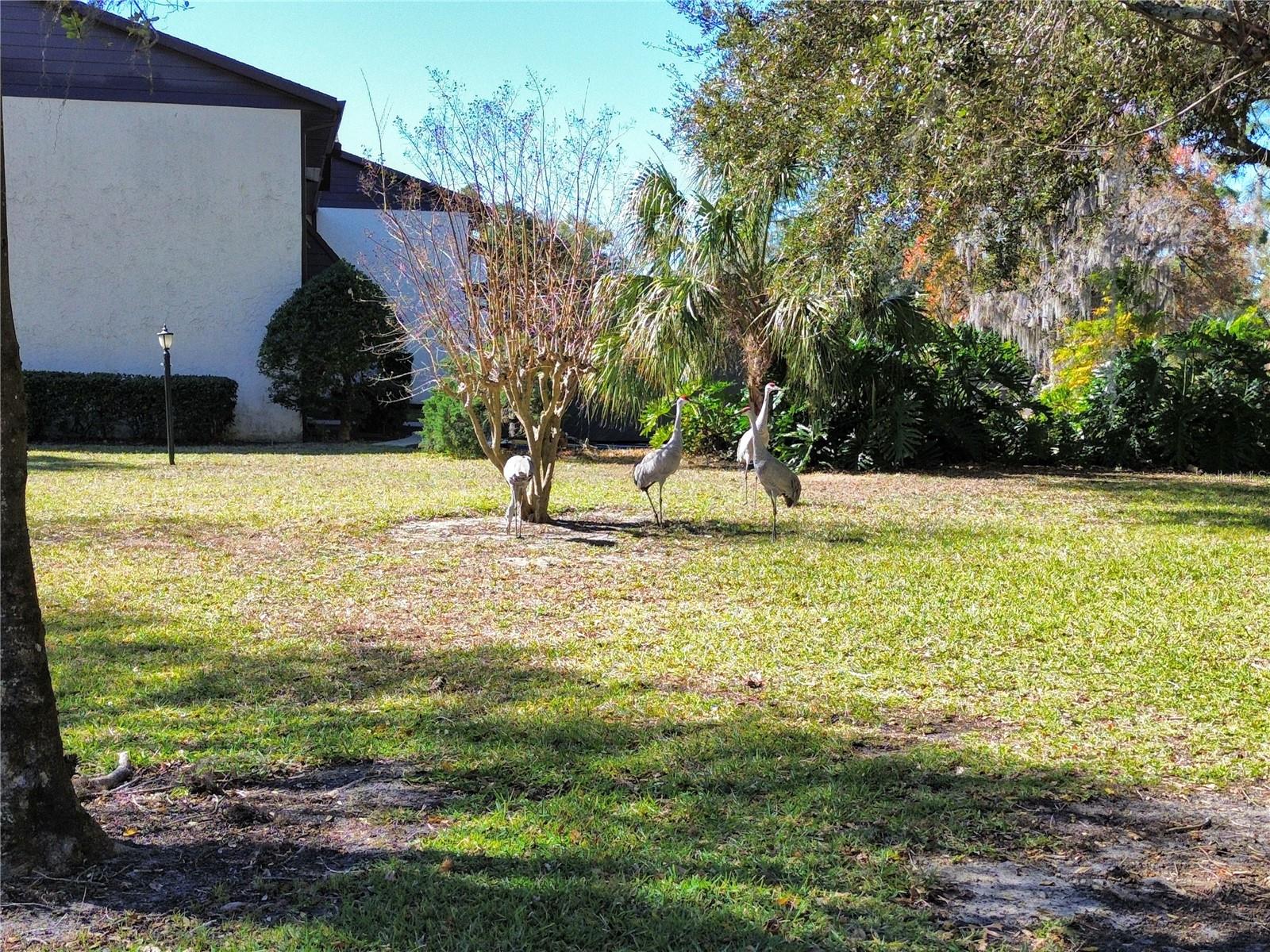 FAIRWAYS/SILVER SPG SHRS 6 BLD - Residential