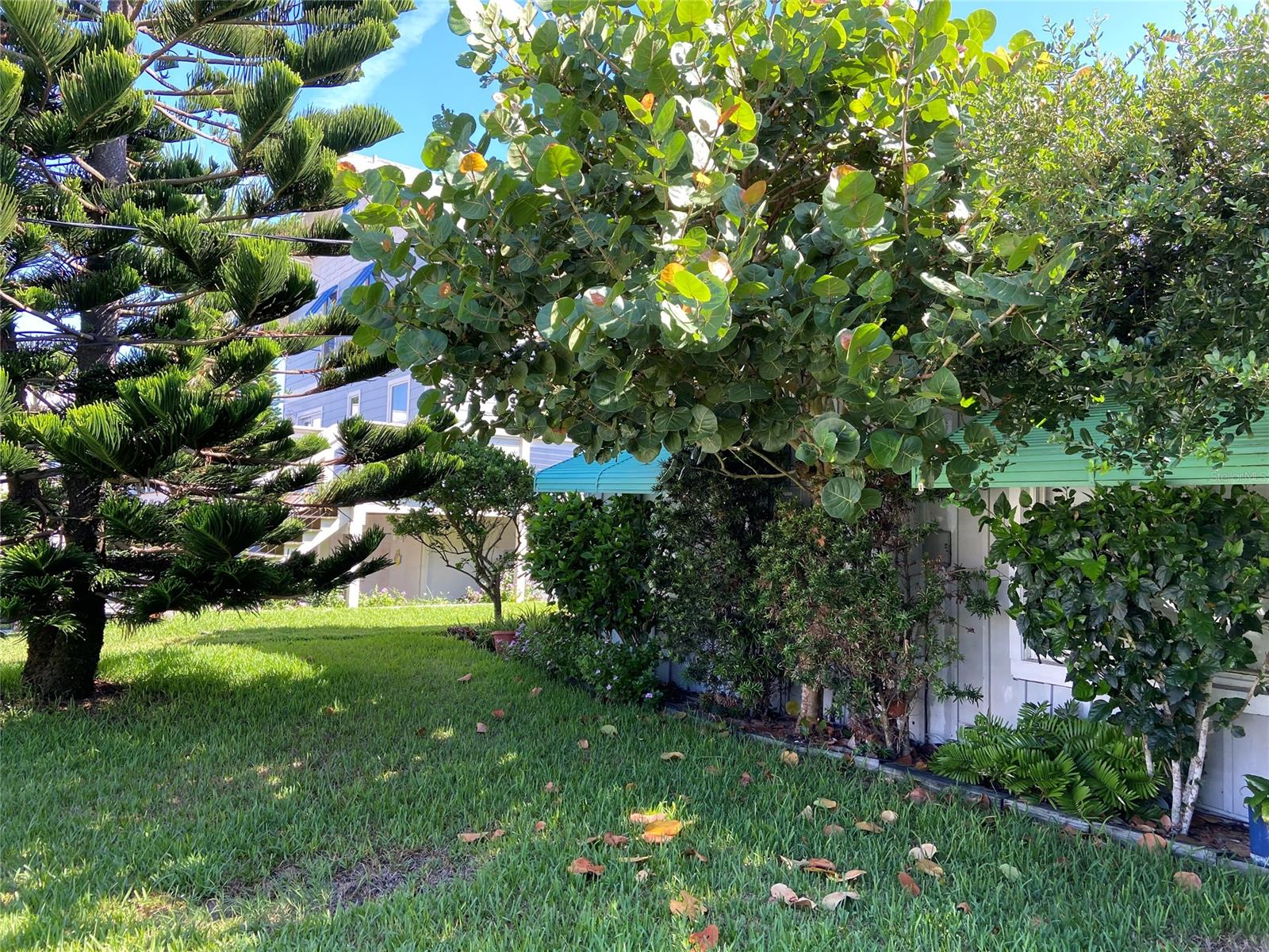 New Smyrna Beach - Residential