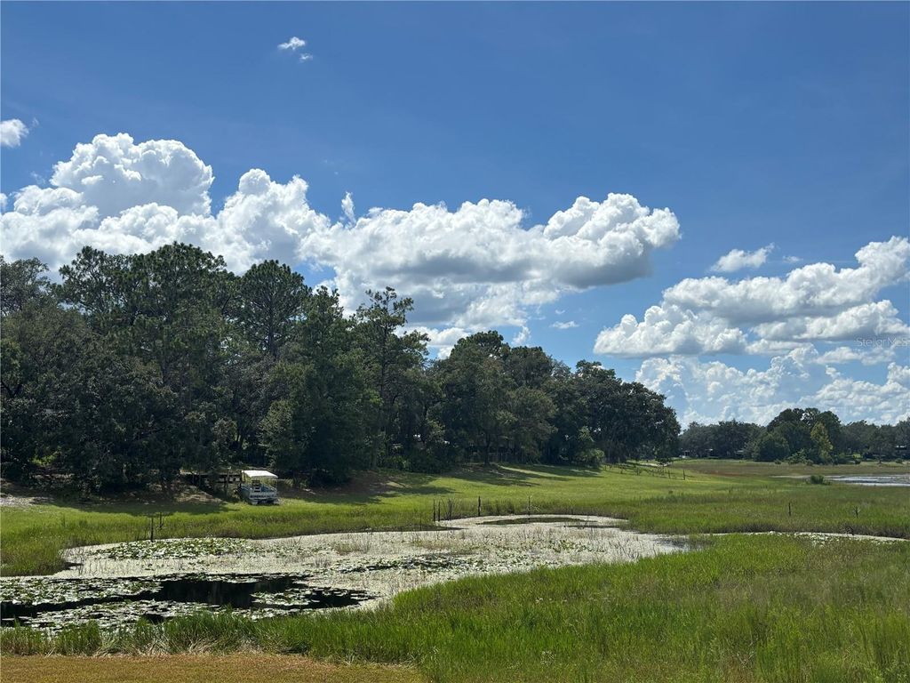 Photo of 0 SE 180th Ave, Ocklawaha, FL 32179 (MLS # OM707450)