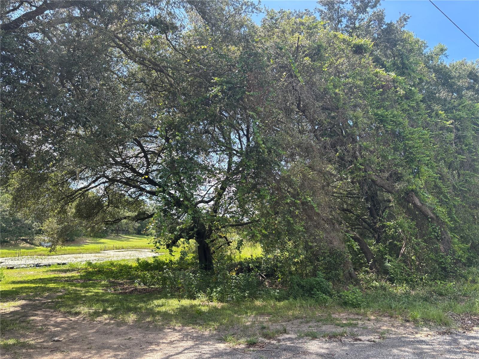 WOODS & LAKES - Land