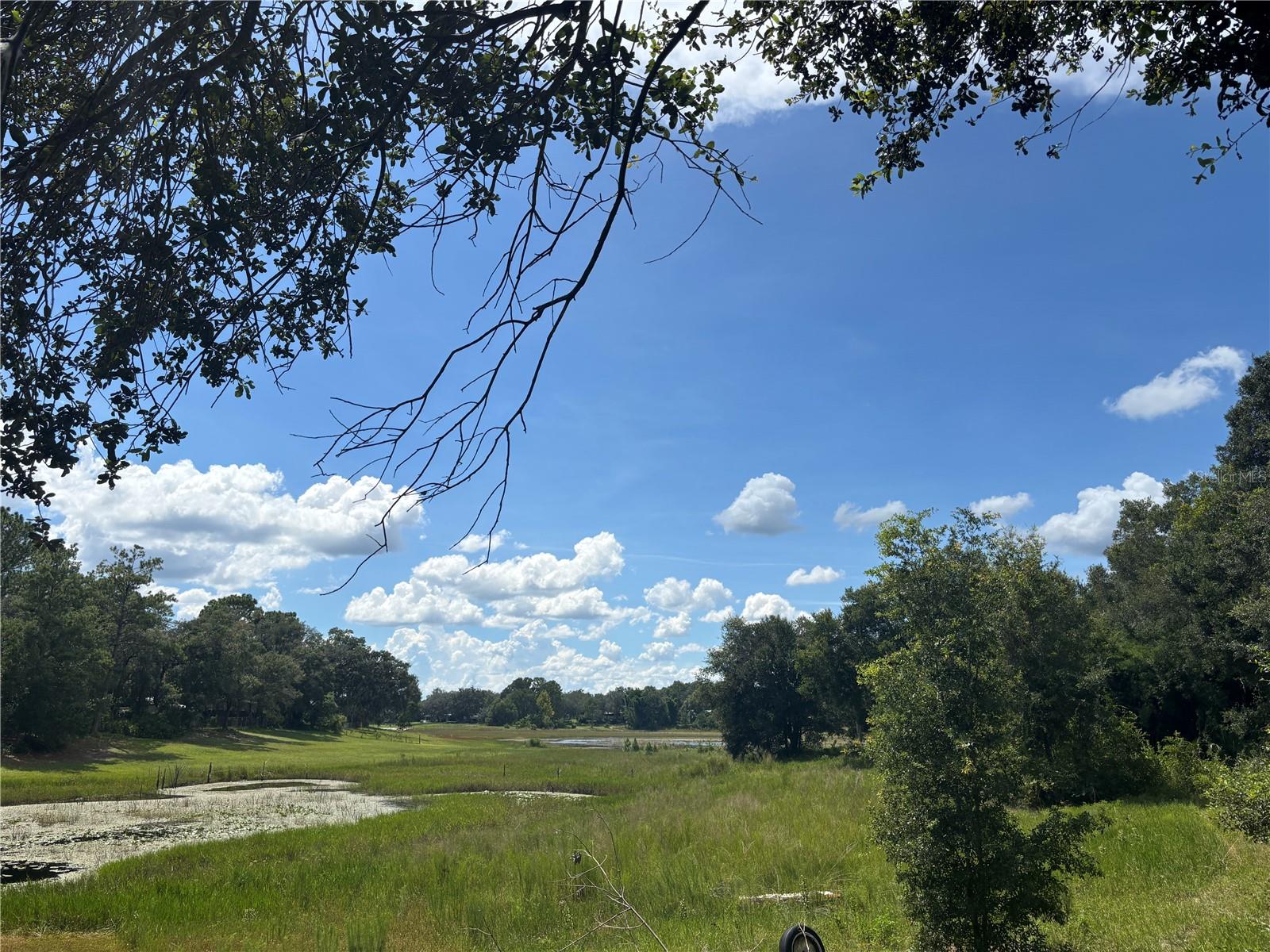 WOODS & LAKES - Land