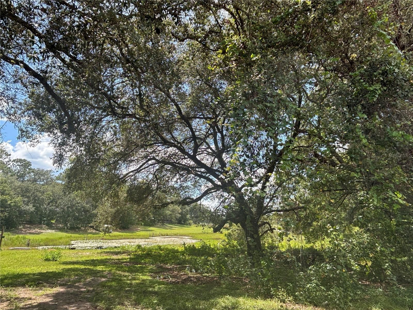 WOODS & LAKES - Land