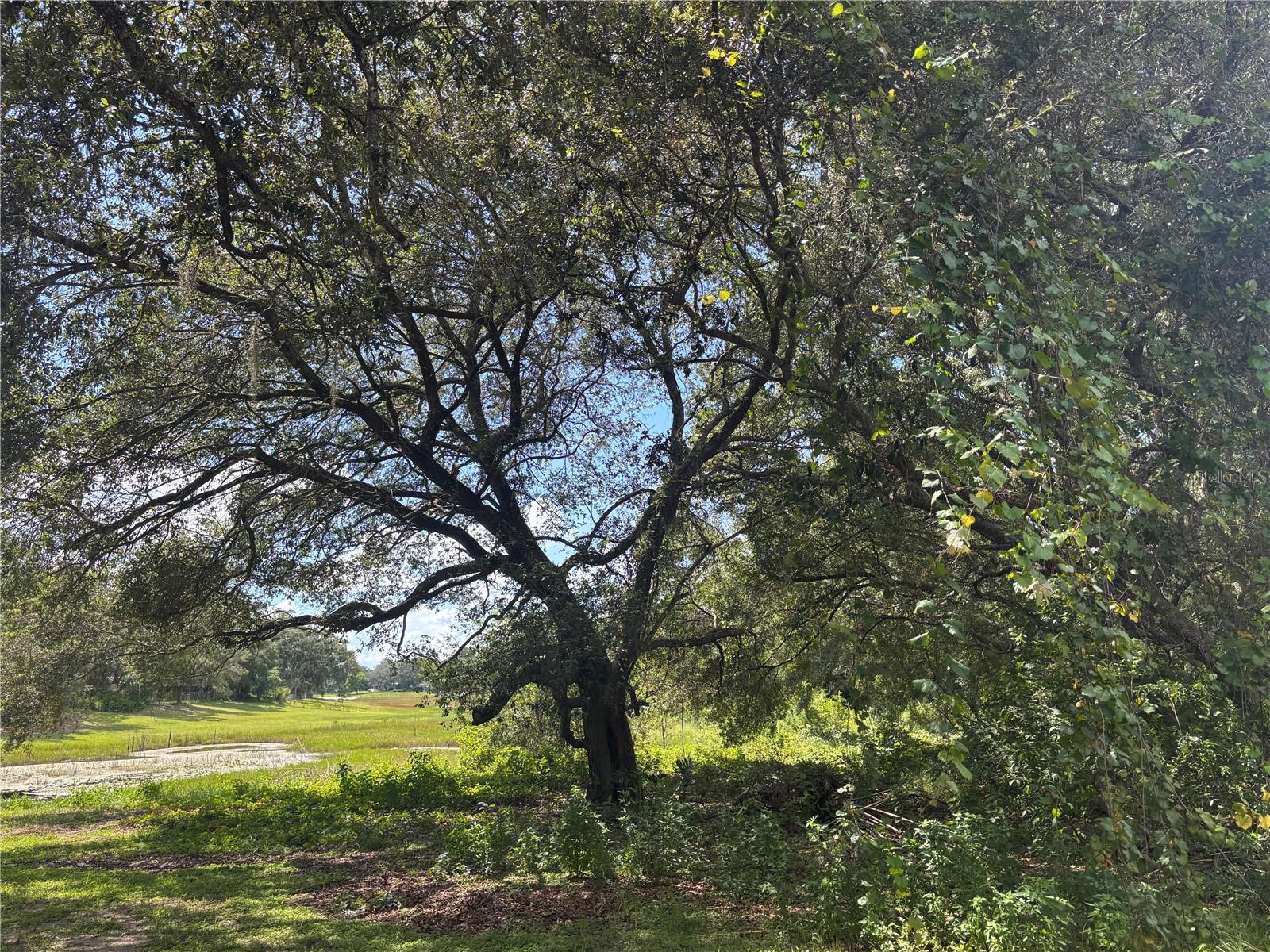 WOODS & LAKES - Land