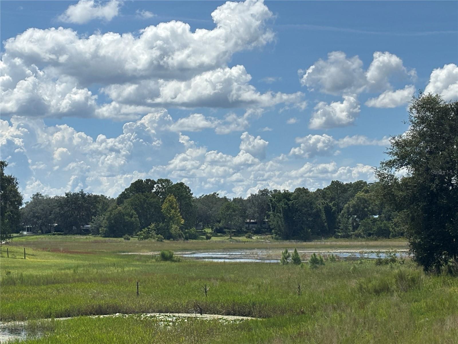 WOODS & LAKES - Land