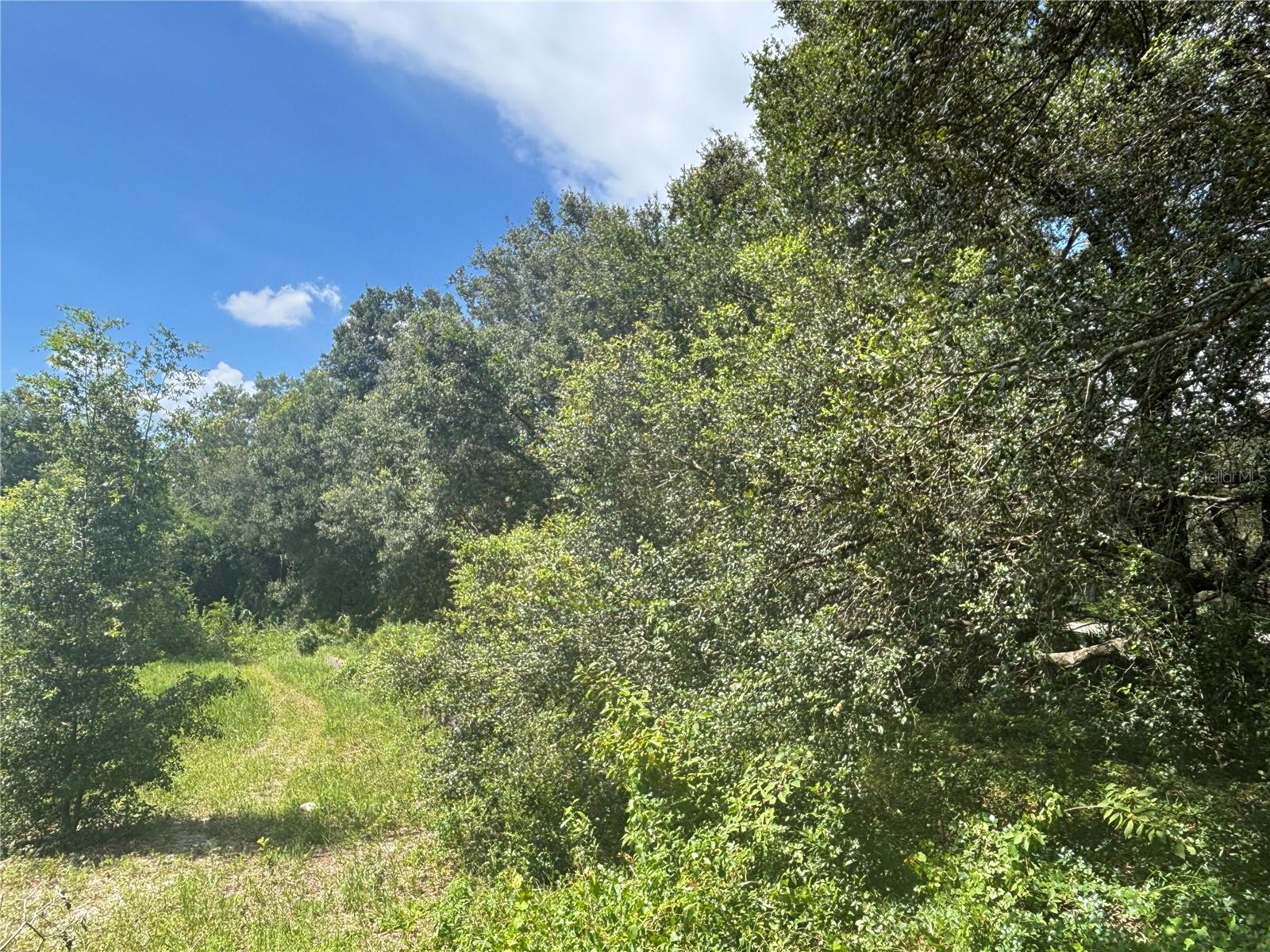 WOODS & LAKES - Land