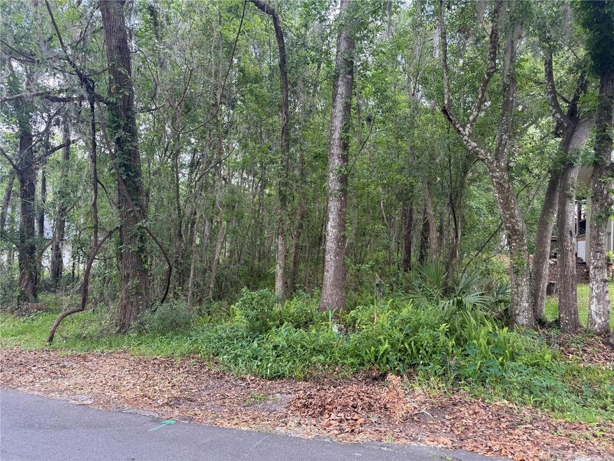 AMAZING HOMESITE! Come build your dream home with NO HOA OR CDD! Nearly half an acre (.44) lot that sits in the heart of Brooksville. The survey is available, so get ready to build that dream home on a highly desirable Brooksville block of Rogers Ave!! Call today! Close to shopping, schools, restaurants, world-famous beaches, and golf courses. Seller is a custom home builder and can build your dream home too!